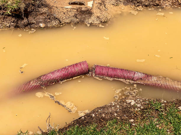 Best Basement water damage restoration  in Four Corners, TX